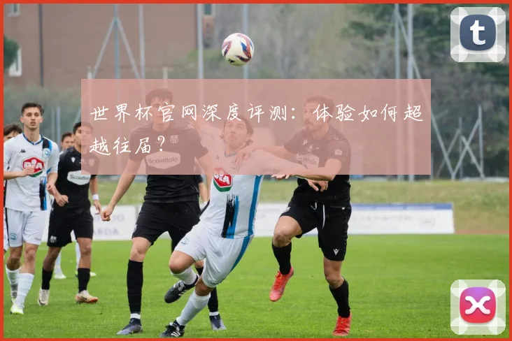 世界杯官网深度评测：体验如何超越往届？