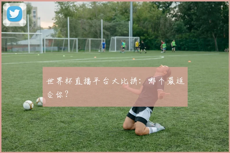 世界杯直播平台大比拼：哪个最适合你？