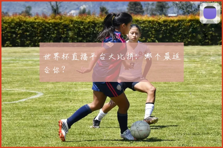 世界杯直播平台大比拼：哪个最适合你？
